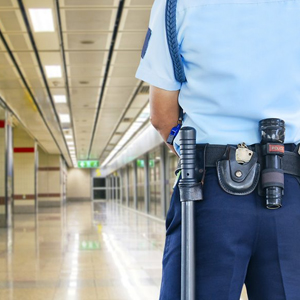 Vigilancia Física y Estática